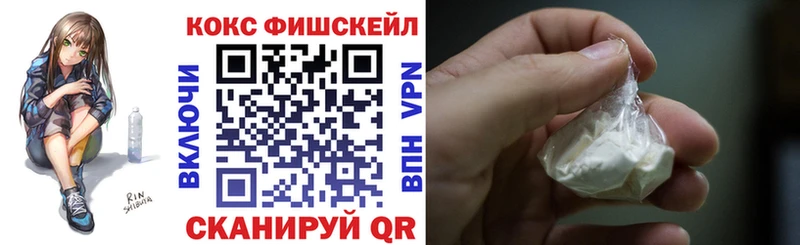 Кокаин FishScale  ссылка на мегу онион  Тбилисская 
