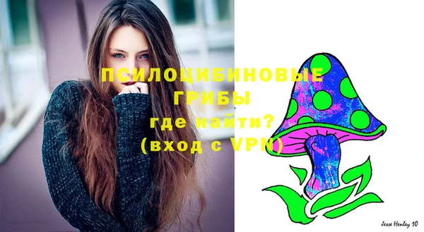 героин Алексин